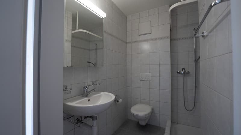 Appartement de jardin 3,5 pièces dans un endroit calme (8)