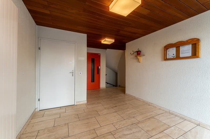 Raised ground floor, tiled floor, white and orange doors, wooden ceiling, mounted ceiling lamps, a staircase, a mounted bulletin board, and a shelf with a potted plant