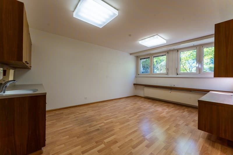empty room, wooden floor, white walls, sink, cabinets, windows, ceiling lights