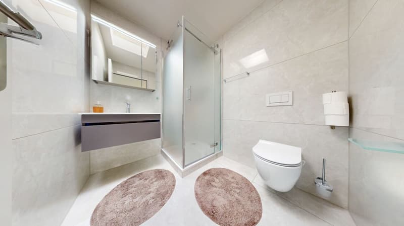 Traumhafte 4.5-Zimmer-Attikawohnung mit grosser Terrasse in Biberist (9)