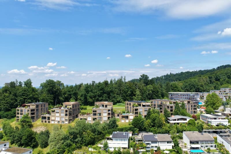 Grosszügige Wohnung an bevorzugter Lage (1)