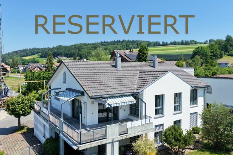 Einzigartige Maisonette-Dachwohnung mit sonniger Terrasse (1)