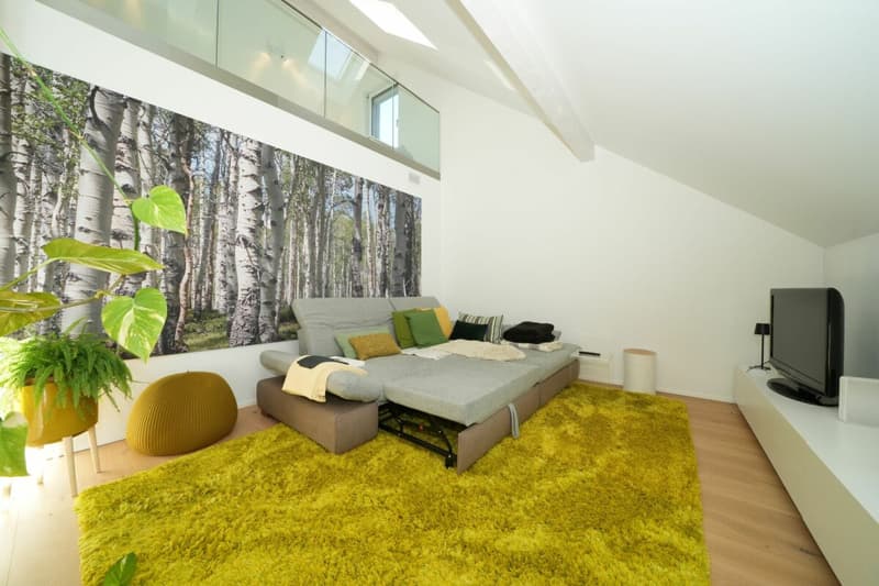 Einzigartige moderne Galeriewohnung an familienfreundlicher Lage (7)