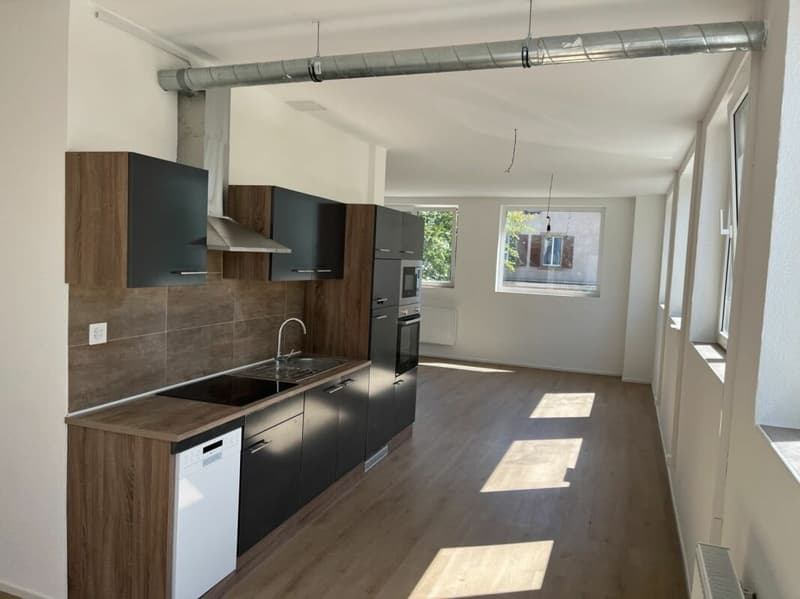 Gewerbefläche zu vermieten - Langendorf (4)