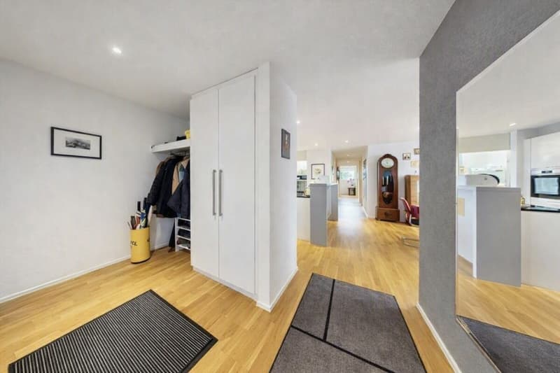 TRAUMHAFTE TERRASSENWOHNUNG MIT ALPENPANORAMA (8)