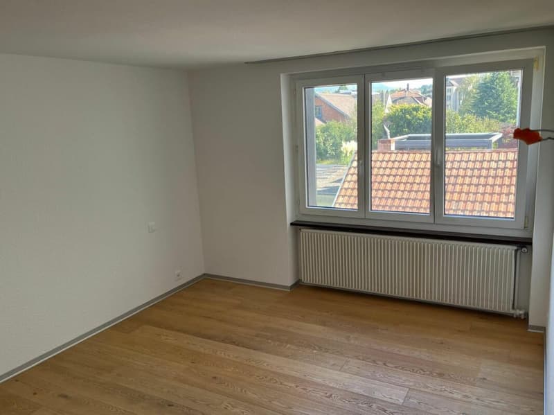 Neu renovierte Wohnung mit Schwedenofen, Garage & Parkplatz (11)