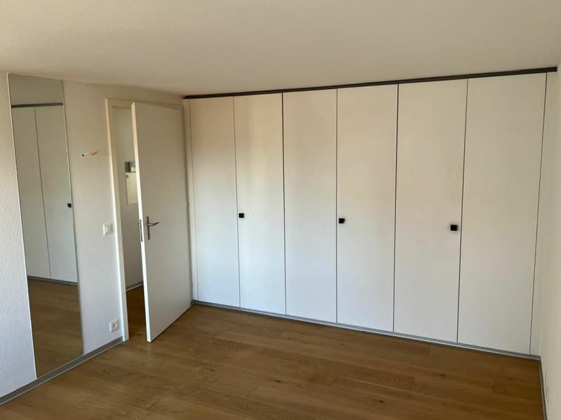 Neu renovierte Wohnung mit Schwedenofen, Garage & Parkplatz (4)