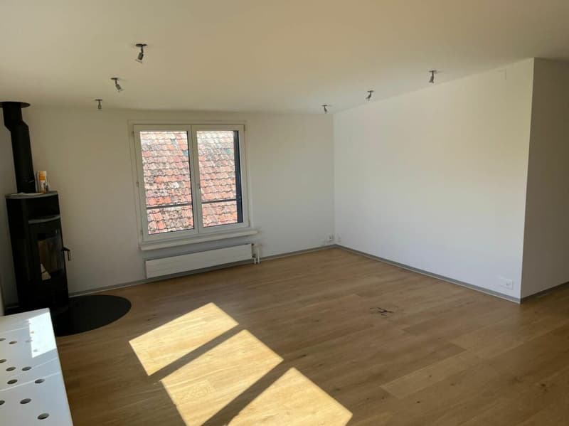 Neu renovierte Wohnung mit Schwedenofen, Garage & Parkplatz (2)