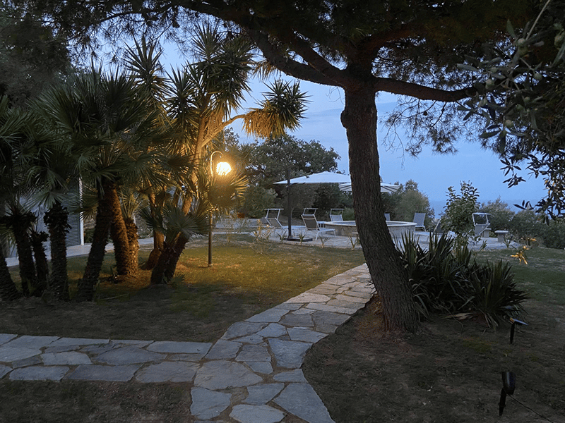 Lush garden with palm trees, stone pathway, outdoor seating area, and swimming pool visible in the background