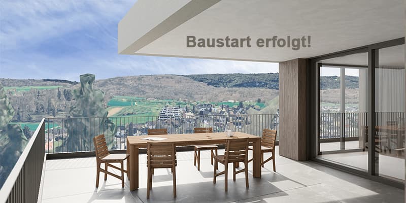 Exklusive Attikawohnung mit grosser Attikaterrasse und hoher Energieeffizienz. Neue Preise! - W8 (1)