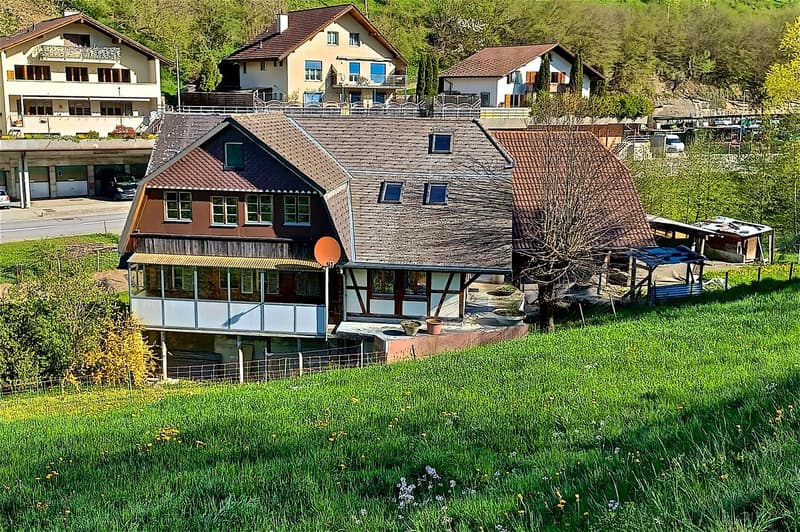 Für Selbstversorger, Tierhalter oder Handwerker: grosses Haus mit Potential