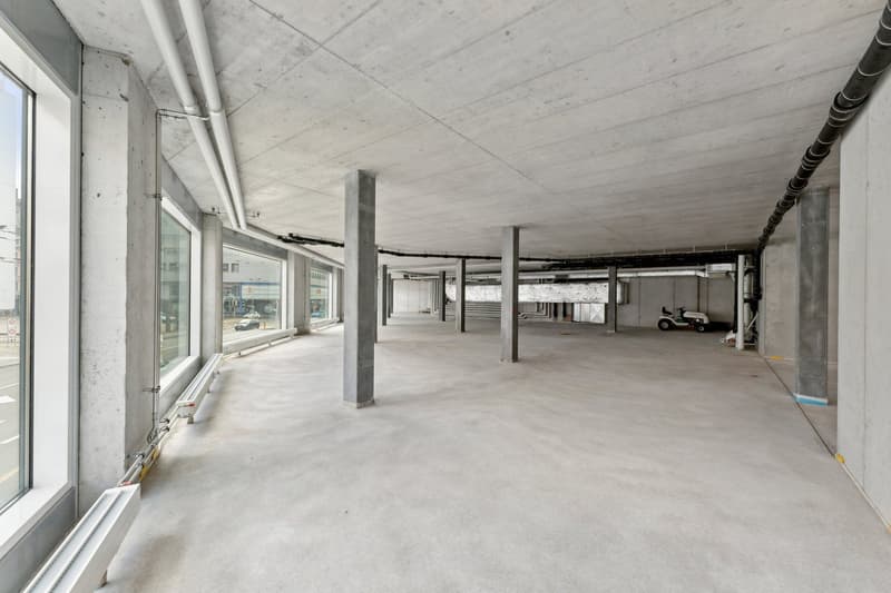 Büro-/Praxisräume vis-à-vis Neumarktplatz zu vermieten (10)