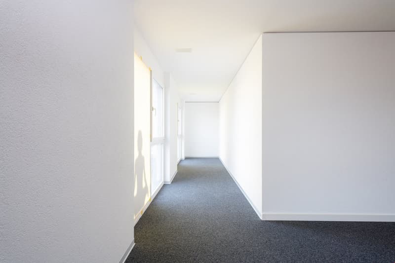 Long, narrow hallway with white walls, gray carpeted floor, and a window allowing natural light to enter.