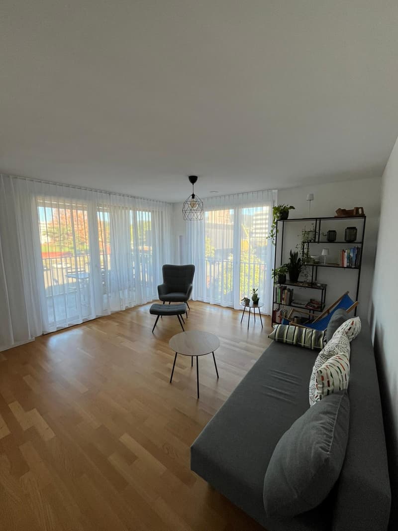 Moderne und attraktive 3.5-Zimmer-Wohnung (3)