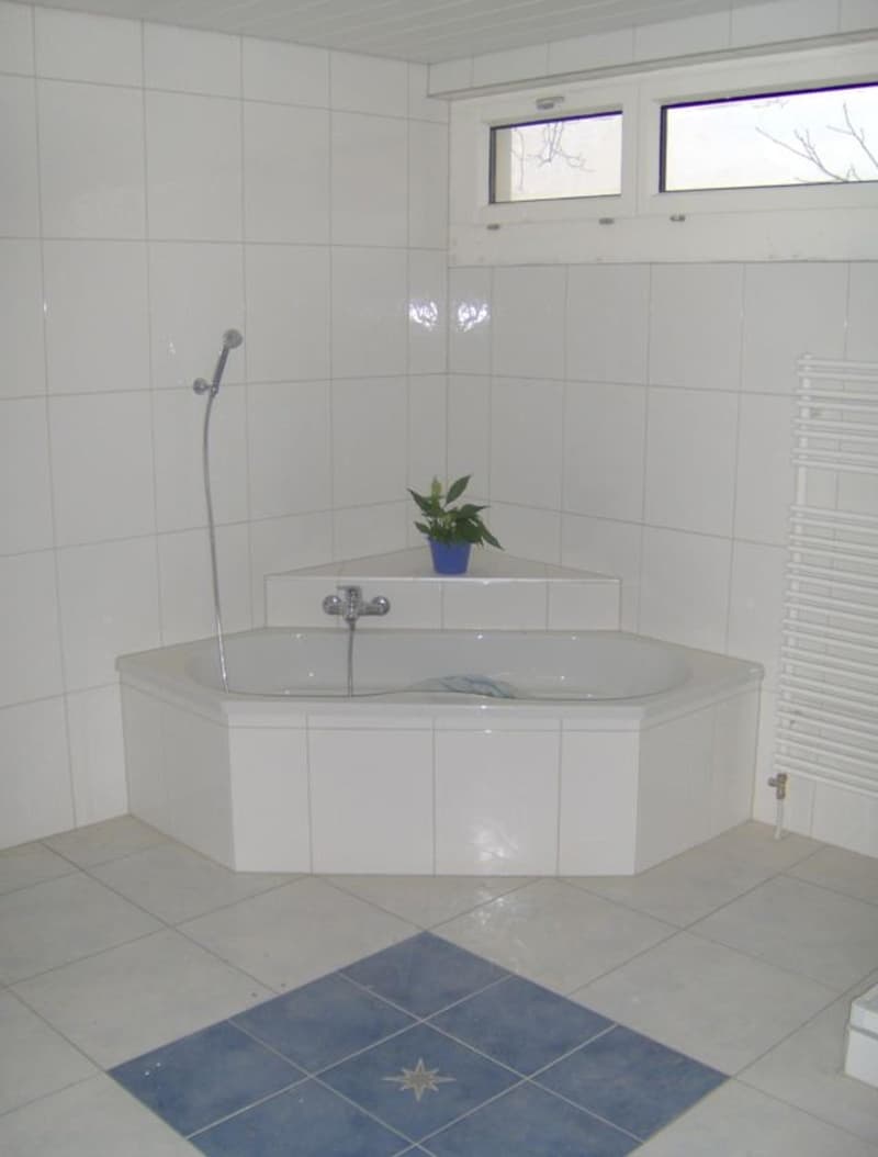 "Einmalig schöne 3.5 Zimmer-Wohnung auf dem Lande mit Brunnen" (9)