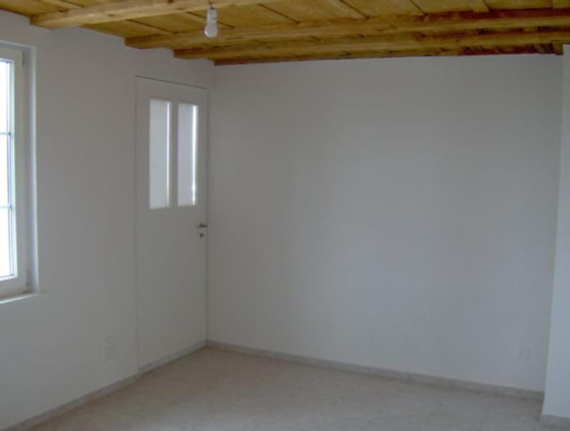 "Einmalig schöne 3.5 Zimmer-Wohnung auf dem Lande mit Brunnen" (7)