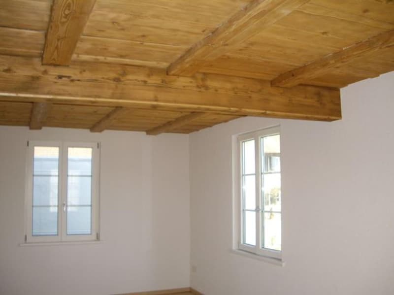 "Einmalig schöne 3.5 Zimmer-Wohnung auf dem Lande mit Brunnen" (4)