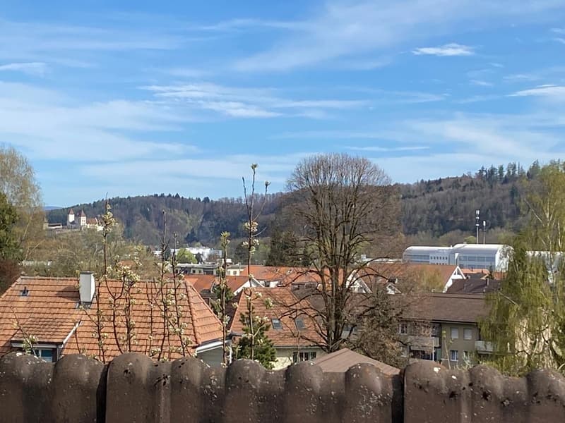 Charmante Doppelhaushälfte mit 2 Wohnungen an ruhiger Lage in Oberburg (28)