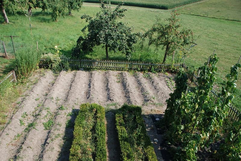 Leben im Paradies - 3.5 Zimmer Stöckliwohnung mit eigenem Garten (5)