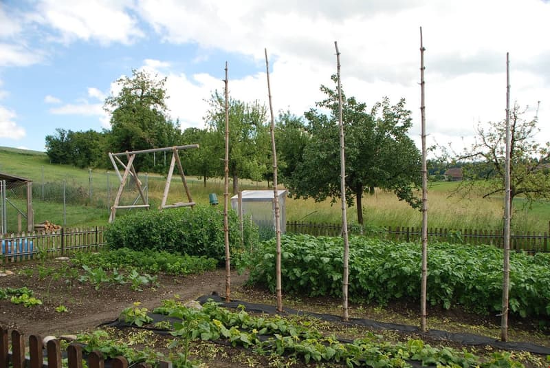 Leben im Paradies - 3.5 Zimmer Stöckliwohnung mit eigenem Garten (6)