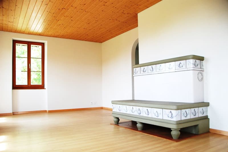 Leben im Paradies - 3.5 Zimmer Stöckliwohnung mit eigenem Garten (10)