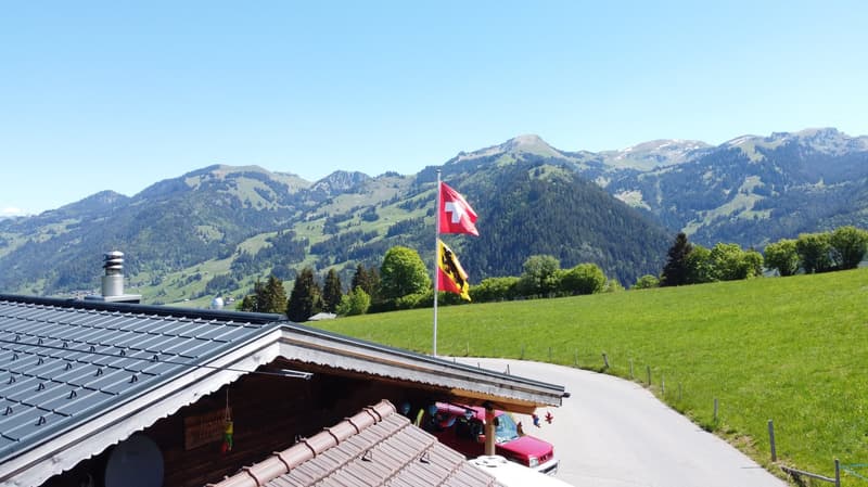 Fantastisches Baulandgrundstück 990 m2 für Neubau von Einzel- oder Doppelgebäude (12)