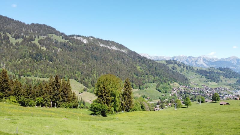Fantastisches Baulandgrundstück 990 m2 für Neubau von Einzel- oder Doppelgebäude (6)