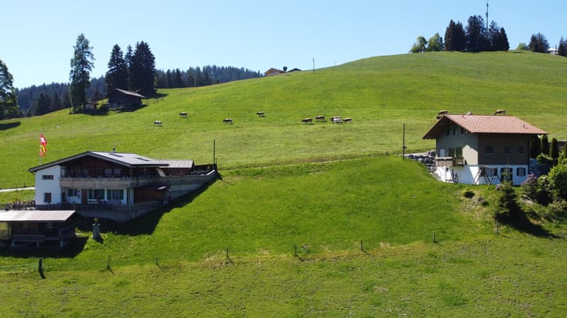 Fantastisches Baulandgrundstück 990 m2 für Neubau von Einzel- oder Doppelgebäude (3)