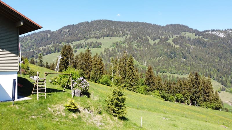 Fantastisches Baulandgrundstück 990 m2 für Neubau von Einzel- oder Doppelgebäude (5)