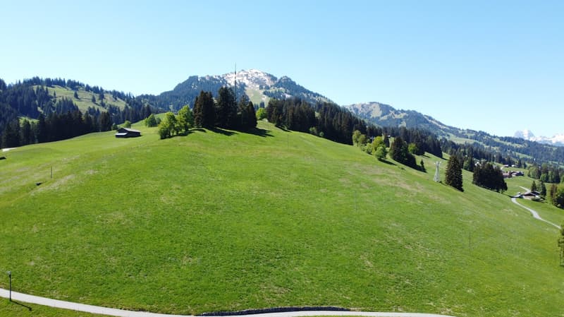Fantastisches Baulandgrundstück 990 m2 für Neubau von Einzel- oder Doppelgebäude (9)