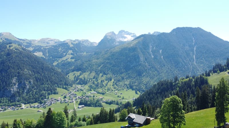 Fantastisches Baulandgrundstück 990 m2 für Neubau von Einzel- oder Doppelgebäude (8)