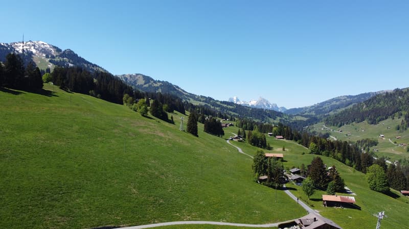 Fantastisches Baulandgrundstück 990 m2 für Neubau von Einzel- oder Doppelgebäude (10)