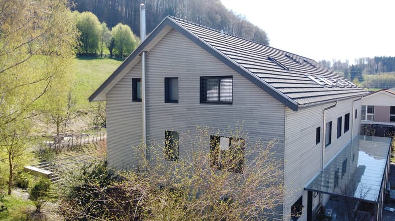 Familienfreundliches, modernes & grosszügiges Reihen-Eckeinfamilienhaus mit Garten und vielen Extras (3)
