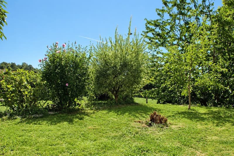 Modernes, familienfreundliches 5.5 Zimmer Doppeleinfamilienhaus auf dem Gyrisberg in Burgdorf (7)