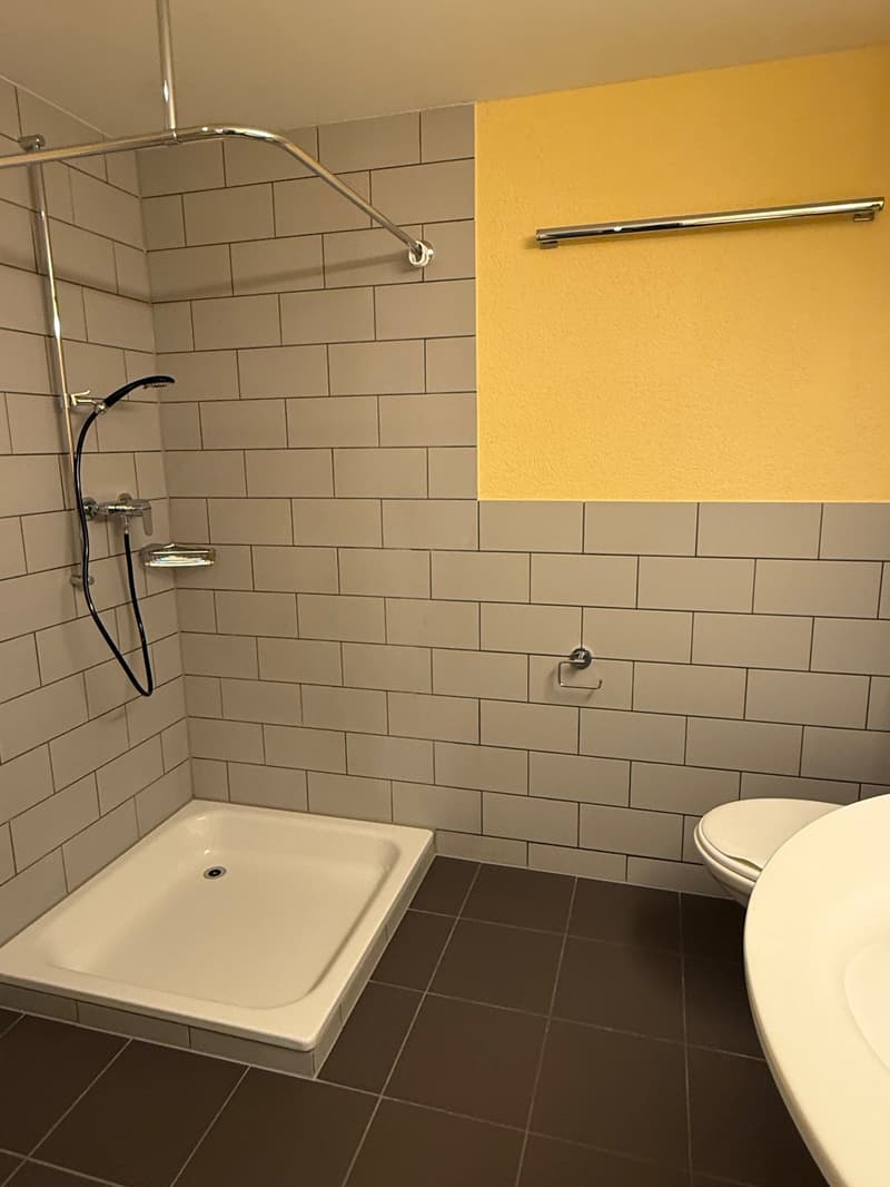 Charmante 3.5-Zimmer-Wohnung an zentraler Lage in Burgdorf (11)