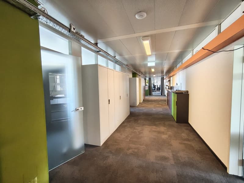 Empty office hallway with white walls, brown floor, glass doors, white cabinets, and ceiling lights