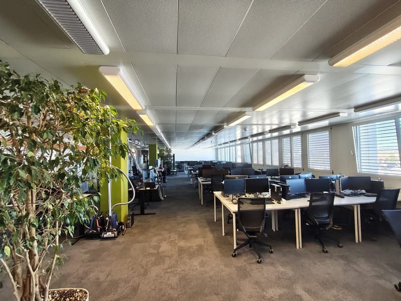 Office space with multiple desks, chairs, and computer monitors. Long hallway with fluorescent lighting.