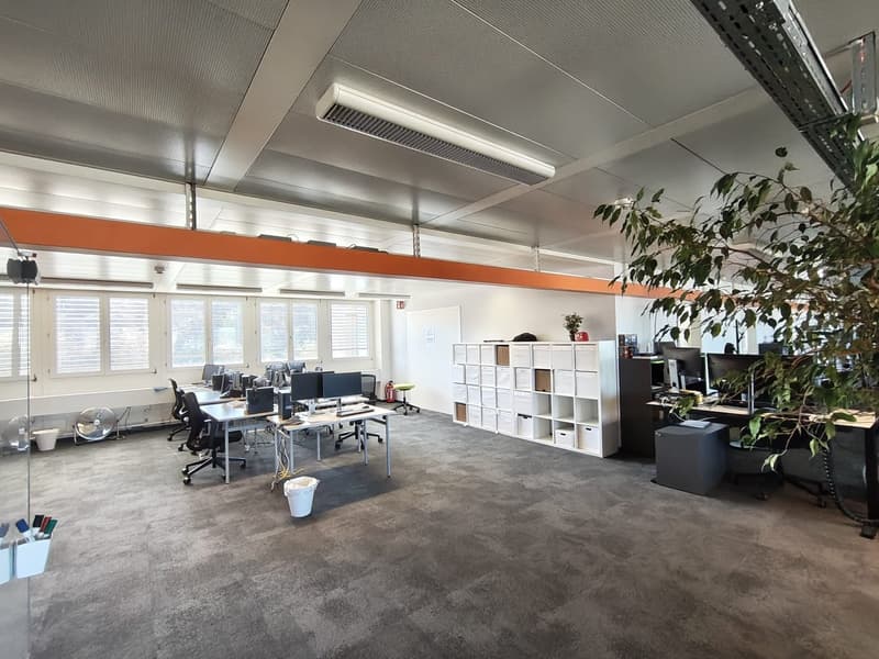 modern office space with desks, chairs, computers, storage units, plants, ceiling lights, windows with blinds