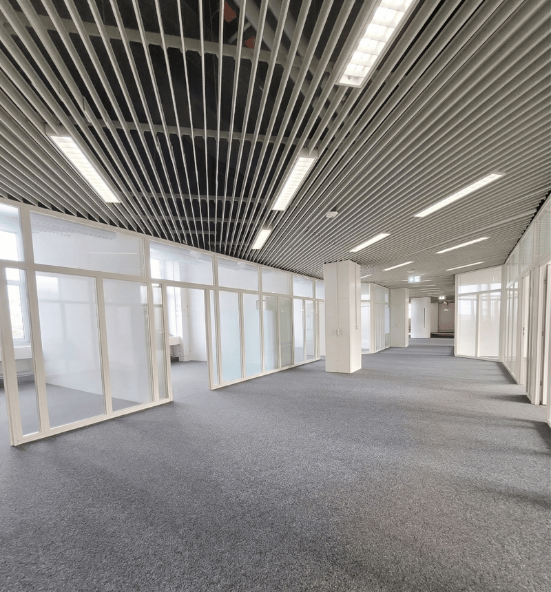 Empty office space with glass walls, carpeted floor, and ceiling lights