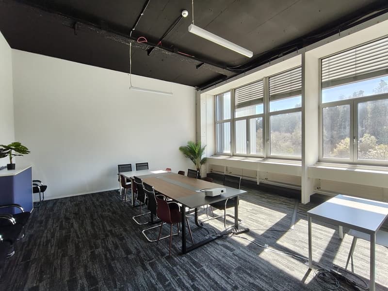 empty meeting room with long table, chairs, projector, plants, windows
