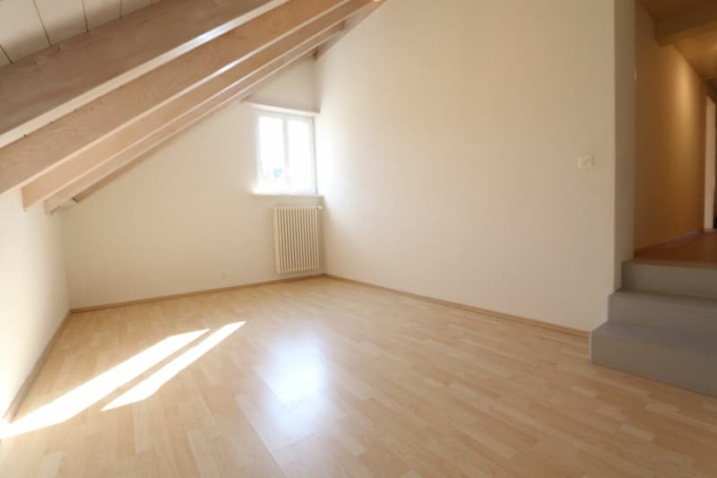 Appartement 4,5 pièces avec réduction attractive (13)
