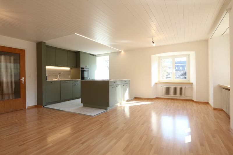 Appartement 4,5 pièces avec réduction attractive (2)