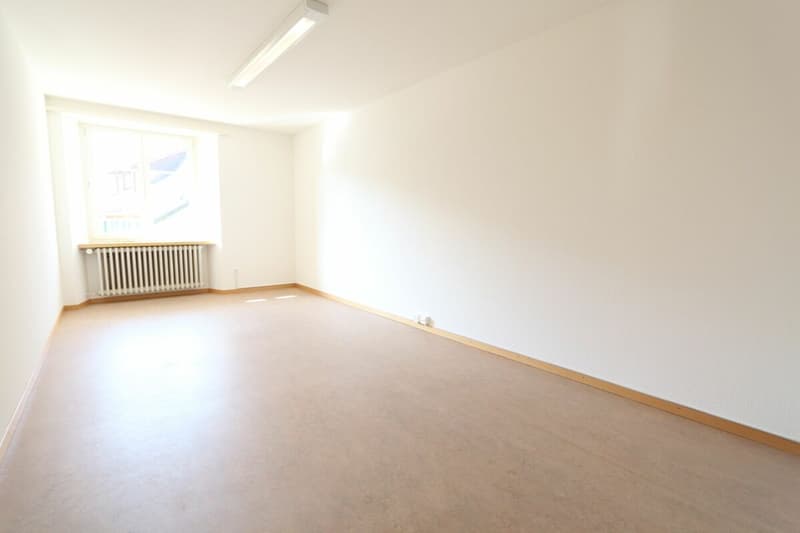 Appartement 4,5 pièces avec réduction attractive (9)