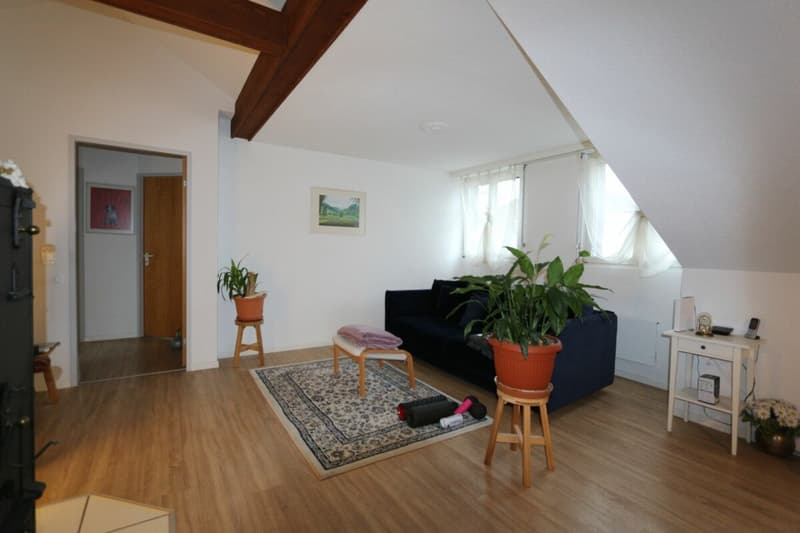 3.5 Zimmer- Dachgeschosswohnung mit 93m2 Wohnfläche! (2)
