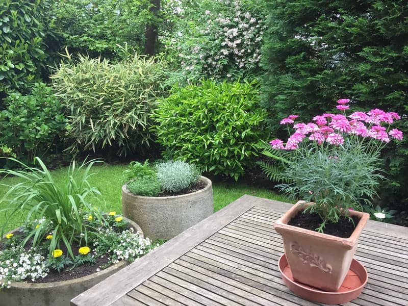 Charmantes 4.5-Zimmer-Einfamilienhaus in Oberwil (11)