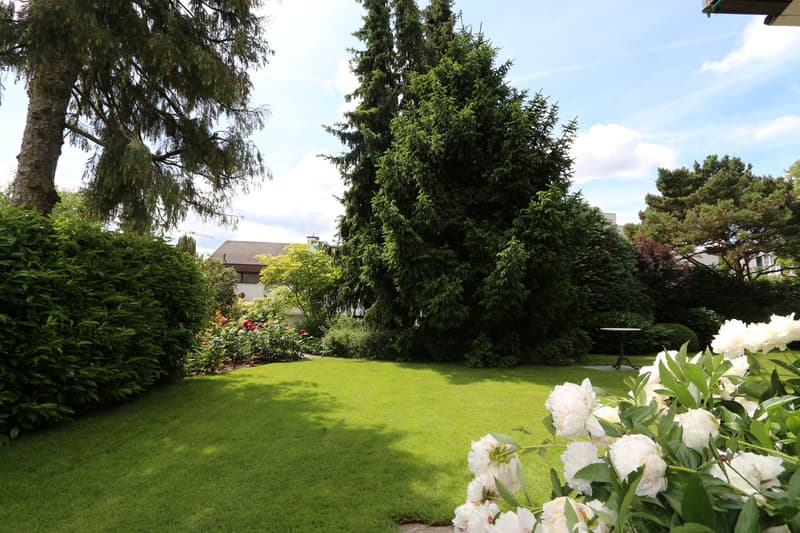 Charmantes 4.5-Zimmer-Einfamilienhaus in Oberwil (3)