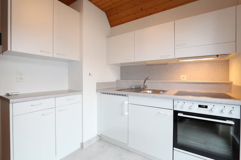 2.5-ZIMMER-DACHWOHNUNG MIT GALERIE (3)