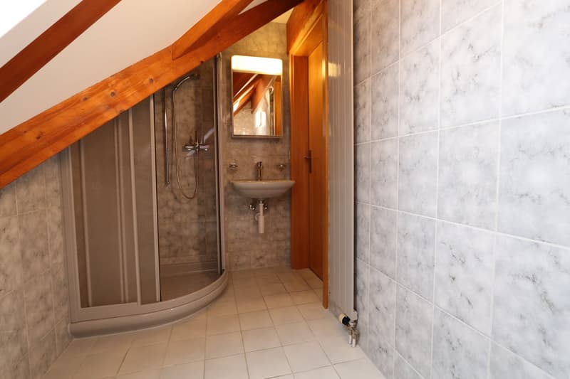 2.5-ZIMMER-DACHWOHNUNG MIT GALERIE (13)