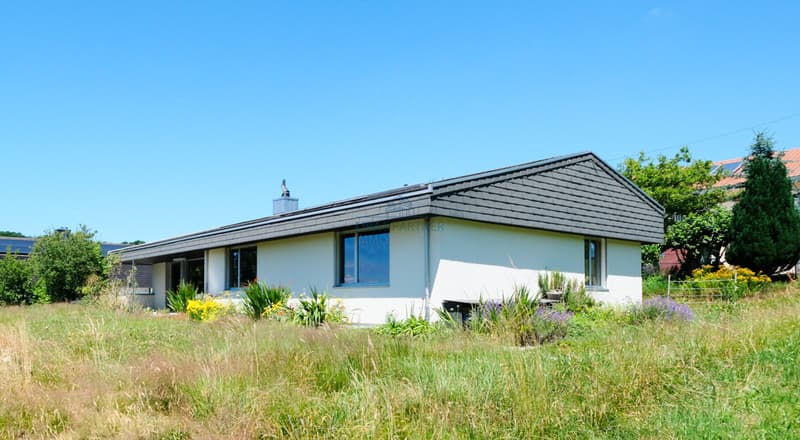 Hausansicht (Ost-Süd) / House view (east-south)
