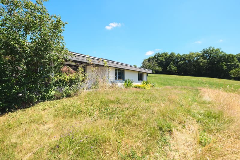 Hausansicht (Süden) / House view (south)